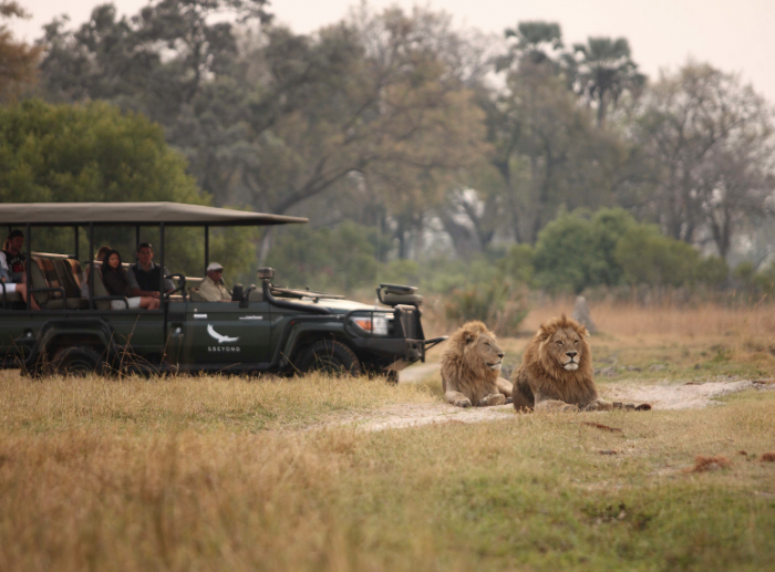 andBeyond Sandibe Under Canvas and andBeyond Nxabega Under Canvas, Botswana - opened this month | News