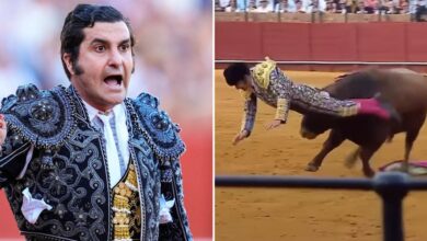 A bullfighter's gruesome rectal gash caught on camera