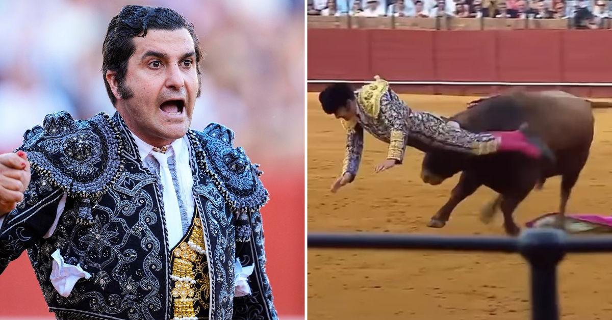 A bullfighter's gruesome rectal gash caught on camera