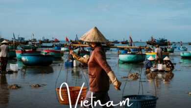 A geography of expertise - Asia DMC | Focus