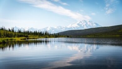 Alaska is calling: five reasons to visit the Big Country in 2026 | News