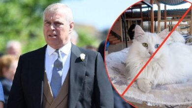 Andrew Windsor welcomes guests amid new restrictions