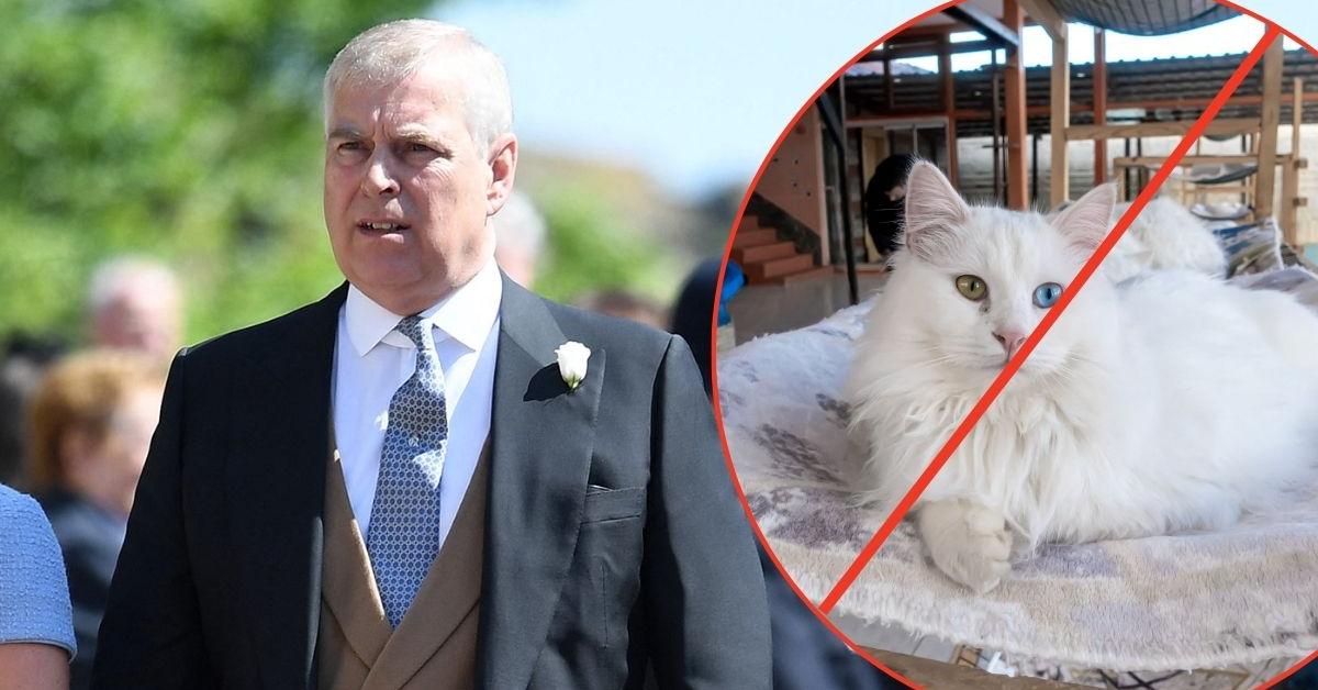 Andrew Windsor welcomes guests amid new restrictions