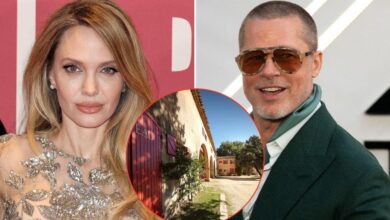 Angelina Jolie is facing claims over the Brad Pitt winery dispute