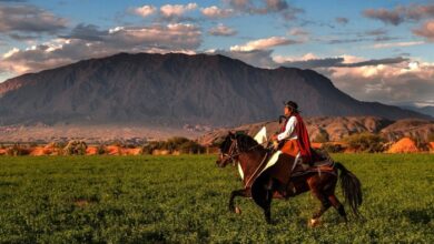 Argentina: South America's rising star for 2026 and beyond | Focus