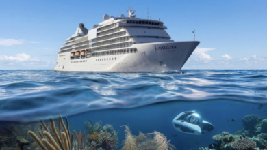 Avora Residences launches 'Continuum' and introduces a new private membership club at sea | News