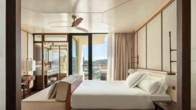 BLESS Ibiza The site that will open in June | News