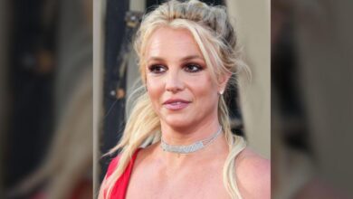 Britney Spears' life or death crisis: drug dealers, drunk driving