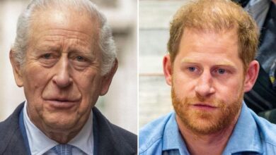 'Brutal attack on King Charles' in Prince Harry's confession
