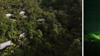 Capella Ubud celebrates eight years with a journey of forest, community and firefly conservation | News