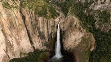 Chihuahua discovered: Mexico's best-kept travel secret | News