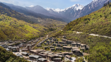 Creating a more sustainable stay: Hilton Properties champions purposeful travel | News