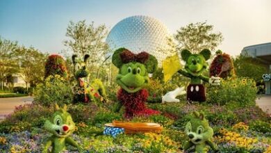 Disney Springs® Resort Area Hotels Extend Special Spring Rate Starting at $92 | News
