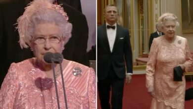 Dress worn by Queen Elizabeth leaves royal fans in tears