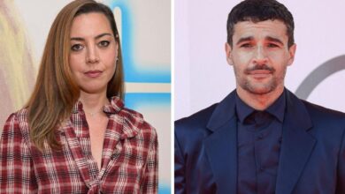 Everything you need to know about Aubrey Plaza's baby Christopher Abbott