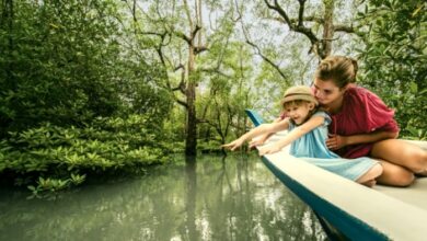 Four Seasons Resorts Asia Spotlight Immersive Travel Experiences for Families | News