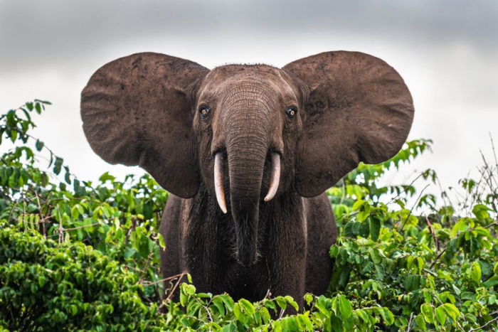 Hariom Travels & Tourism LLC – reshaping the narrative of African tourism | Focus