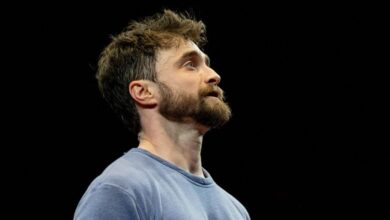 'Harry Potter' star hit after Brad on Big Movie Fortune