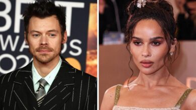 Harry Styles Fuels 'Showmance' Rumors About Strange Sleeping Arrangement