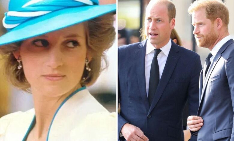 Harry and William 'United in Grief' Over Unseen Images of Princess Diana