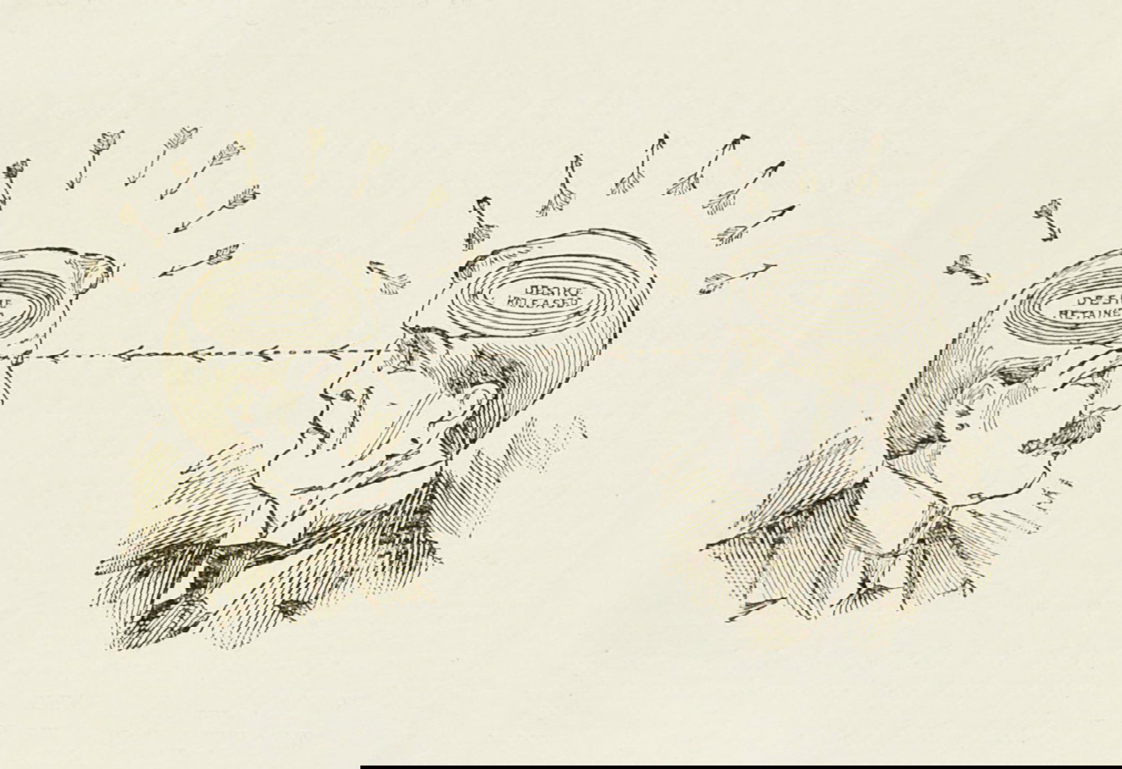 How Mail Order Brought the Occult - The Public Domain Review