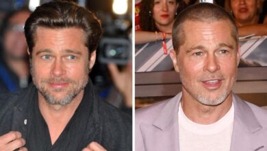 Inside Brad Pitt's Plastic Surgery Rumors After Signs of a 'Facelift'