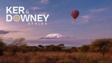 Ker & Downey® Africa unveils 2025 intelligence report and 2026 trends | News