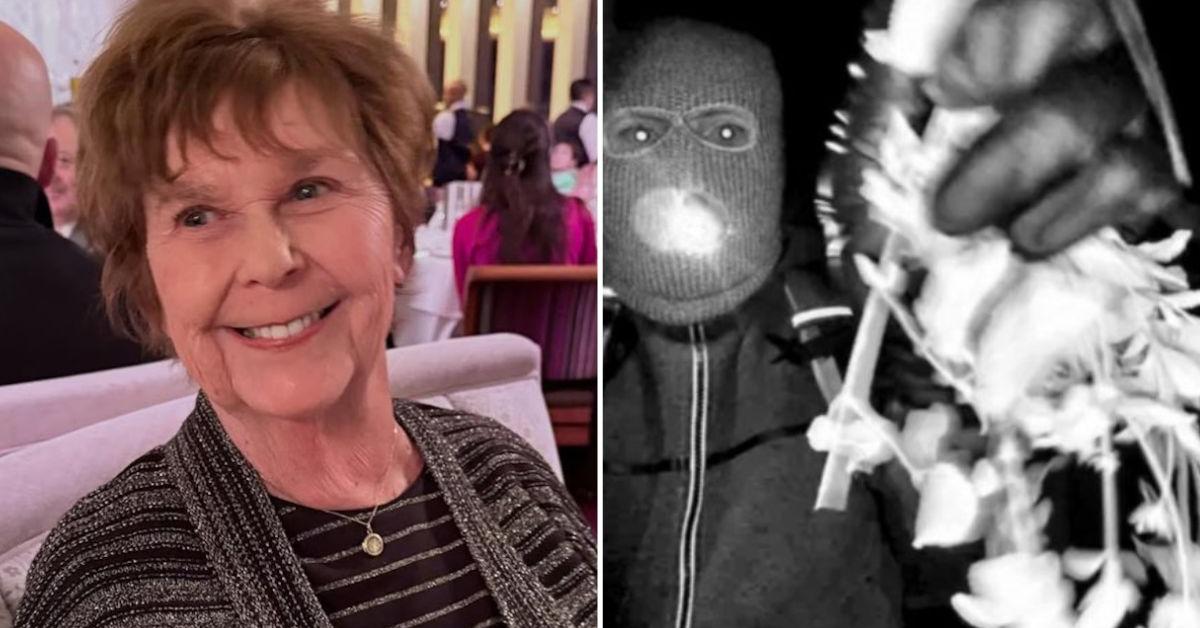 Kidnappers of Nancy Guthrie 'didn't care that she died' and 'tortured' family