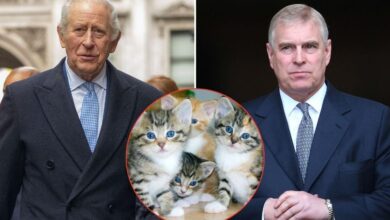 King Charles 'terrified' of the only 'guest' being banished from his brother's new home