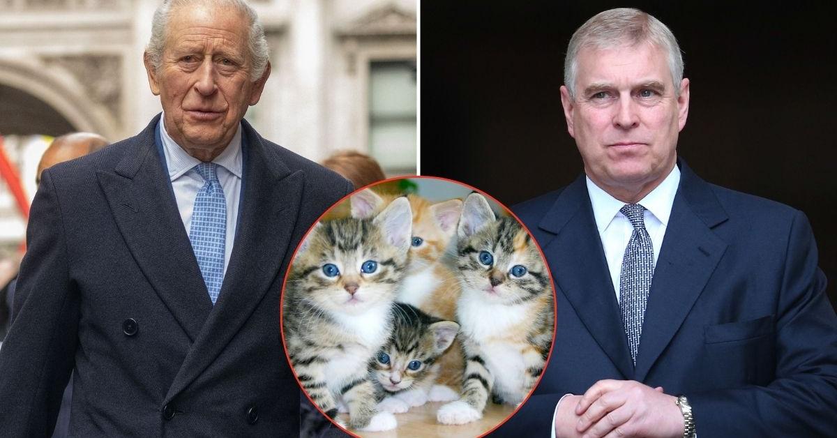 King Charles 'terrified' of the only 'guest' being banished from his brother's new home