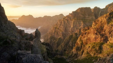 Madeira's most iconic hiking trail, Pr1 Vereda Do Areeiro, reopens this month after two years of closure | News
