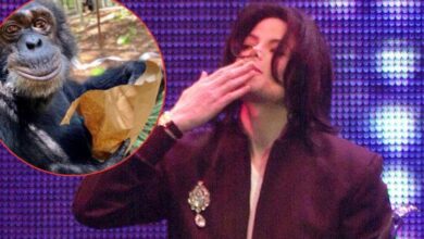 Michael Jackson's Chimp Bubbles New Life Revealed as Biopic Gets Ripped