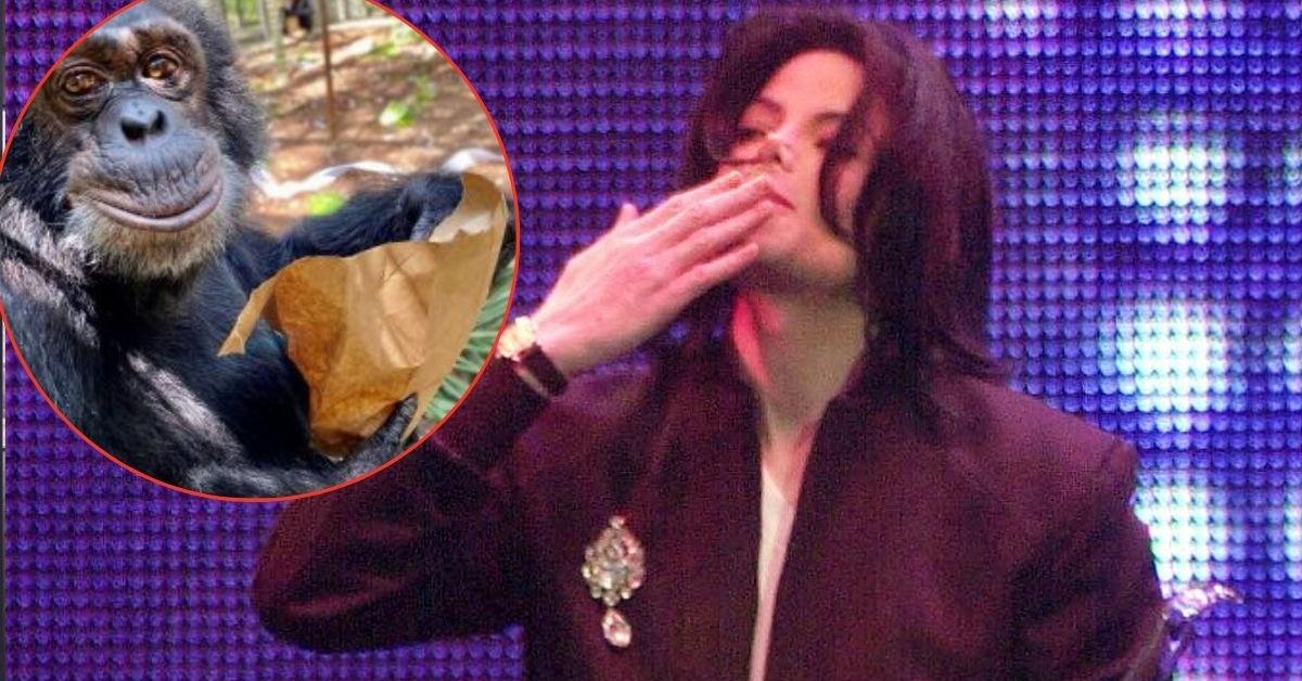 Michael Jackson's Chimp Bubbles New Life Revealed as Biopic Gets Ripped