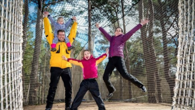 New for summer 2026: Forest Adventure Zone to encourage family tourism in the Scottish Highlands | News