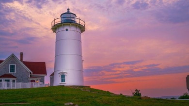 North America Travel Service Launches Premium Packages for FIFA World Cup 2026™ | News