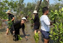 Our power, our planet: how Marriott helps nature thrive | News