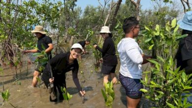 Our power, our planet: how Marriott helps nature thrive | News