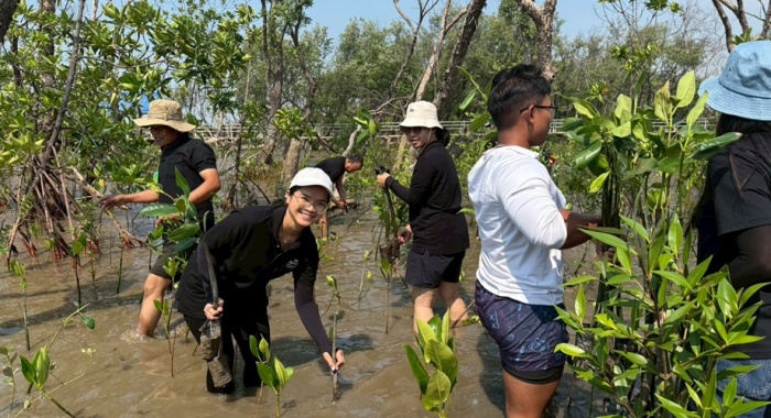 Our power, our planet: how Marriott helps nature thrive | News
