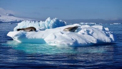 Pavlus Travel & Cruise sees shifts in luxury booking dynamics in 2026 | News