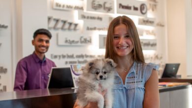 Premier Inn introduces dog-friendly stays in Dubai | News