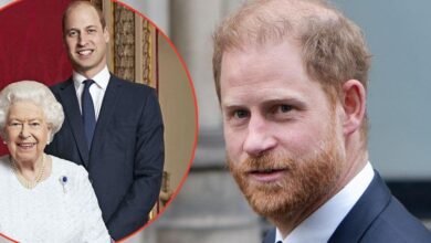 Prince Harry claimed the Queen favored William over him