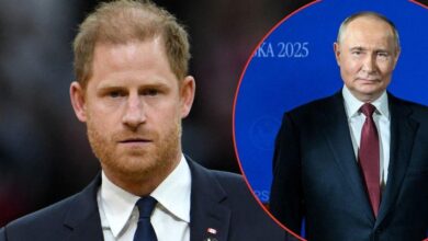 Prince Harry criticized the reference to Diana in war comments