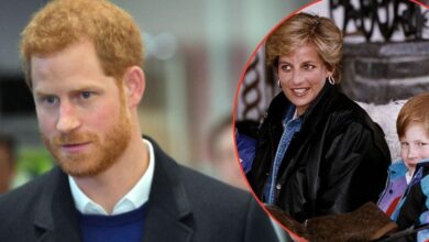 Prince Harry's biggest fear for his children's future revealed