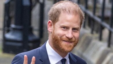 Prince Harry's visa postponement fuels accusations of 'drug cover-up'