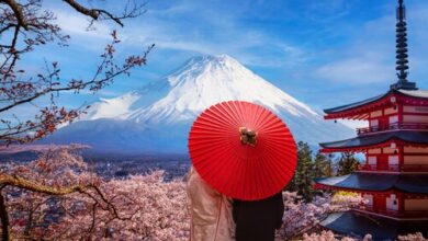Princess Cruises unveils largest ever 2028 Japanese summer season and expanded Southeast Asia program | News