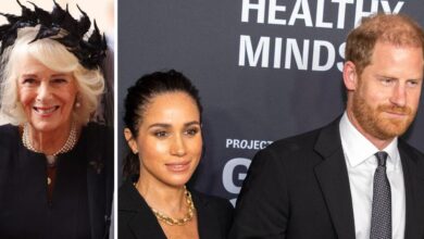 Queen Camilla braces for battle while Prince Harry seeks peace