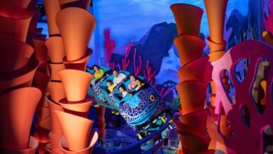 SeaWorld® Yas Island, Abu Dhabi announces the return of SeaBloom | News