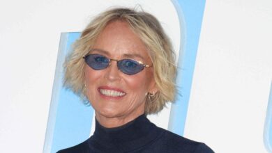 Sharon Stone reflects on the 'Basic Instinct' trauma
