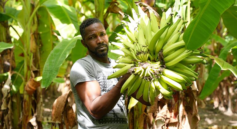 Shockwaves from the war in the Middle East are reaching the Caribbean as food prices rise