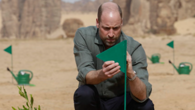 Sowing AlUla's green future: 1 million indigenous plant initiative to transform AlUla | News